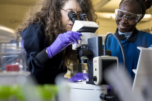 Two women in lab goggles, and gloves use a microscope in a lab. 
