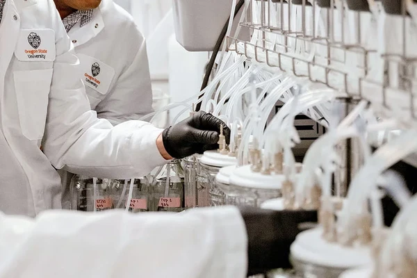 Researchers using lab equipment