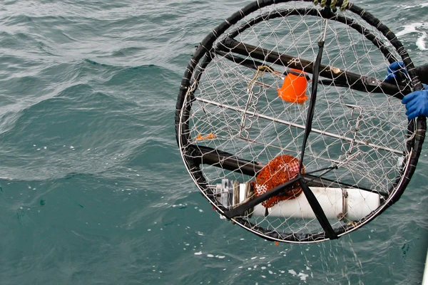 A crab pot about to be dropped into the ocean. 