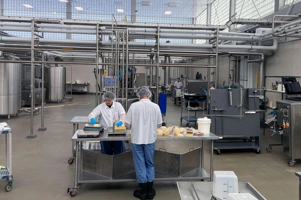 Workers in dairy