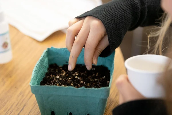 Student testing blackberries