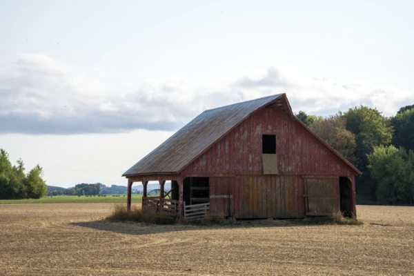 Red barn in field