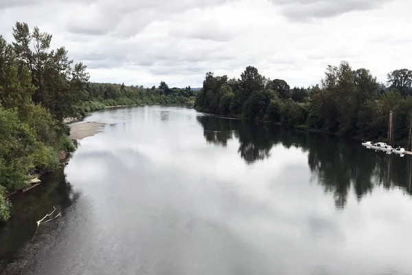 River with tree reflection
